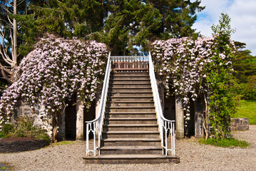 Armadale Castle Gardens