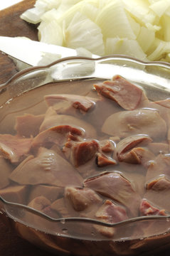 Kidney Rognone Ri&ntilde;&oacute;n 肾脏