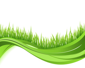 Naklejka premium Green grass nature wave background. Eco concept illustration