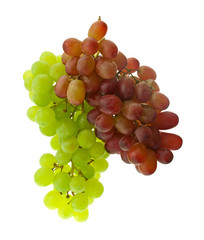 The clusters of green and dark blue grapes.