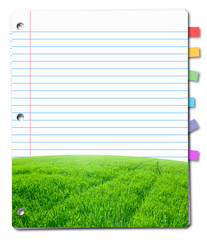 sheet