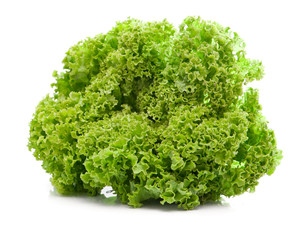 green leaves lettuce