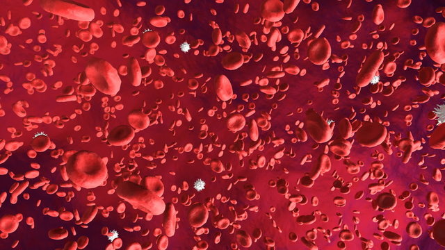 Как выглядит кровь внутри White Blood Cells Video Footage - Browse 5,186 HD Stock Video and Footage Adobe 