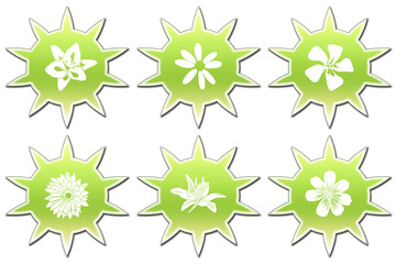 Circulos formas flores