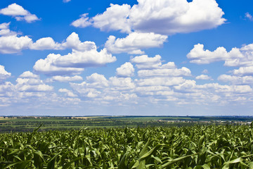 русские просторы