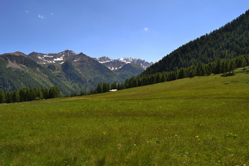 prateria di montagna © franzdell