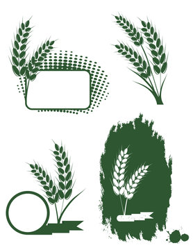 Set with green ears of wheat