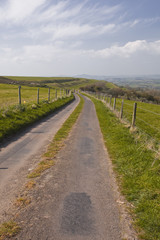 Fototapeta na wymiar Eggardon Hill w hrabstwie Dorset