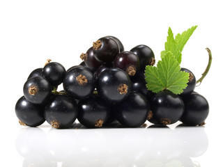 Schwarze Johannisbeeren