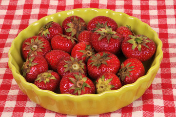 Des fraises gariguettes