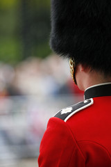 Naklejka premium Queen's soldier at Trooping the color, 2012