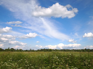 Fototapeta na wymiar облака над полем