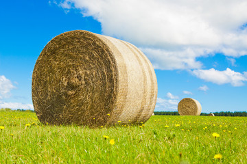 Big hay bale rollin a lush field - obrazy, fototapety, plakaty