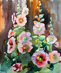 Obrazy  Akwarela malarstwo piękne kwiaty malwy.