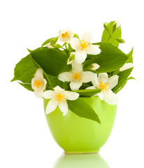 beautiful jasmine flowers in green vase isolated on white