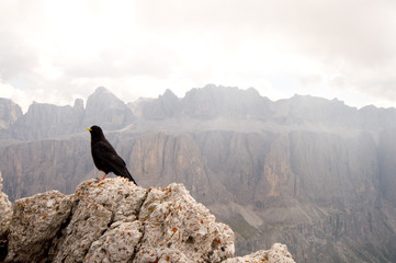 Sellagruppe - Dolomiten - Alpen