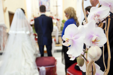 orchidea © shooterg03