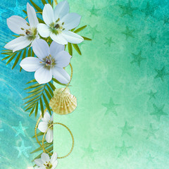 Background for congratulation  card