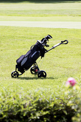 golfbag Schl&auml;ger auf einem Golfplatz im Sommer