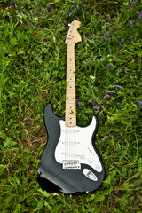 guitar on green grass yard