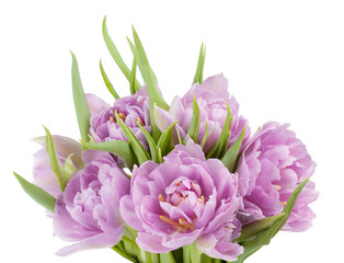 Obraz premium Pink tulips bouquet