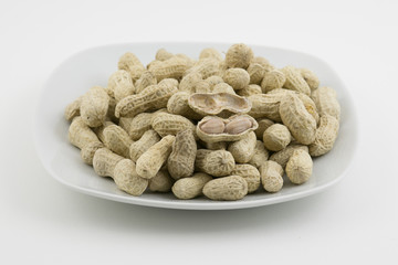 Peanut on white plate