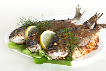 grilled fish