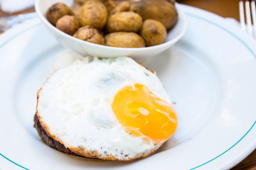 Prepared Egg