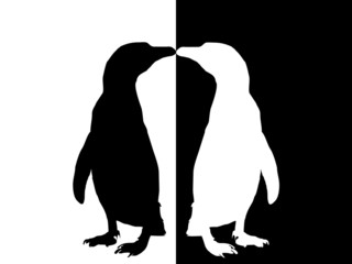 Pinguin Silhouette black and white