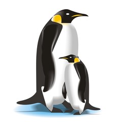 Pinguino_2