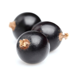 Currant in closeup