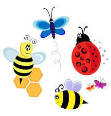 vector characters. bugs, bee and butterfly