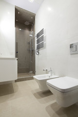 Interior of designer bathroom