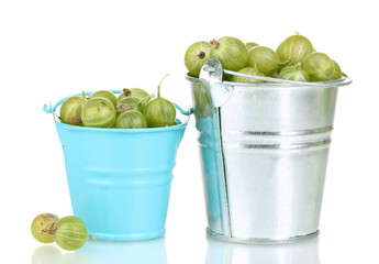 Green gooseberry in metal buckets isolated on white