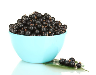 Fresh black currant in blue bowl isolated on white