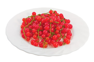 Bunch of red currants on a plate