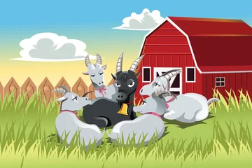 Poster Ferme Chèvres