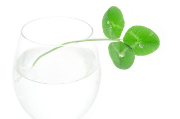 グラスとクローバーの葉