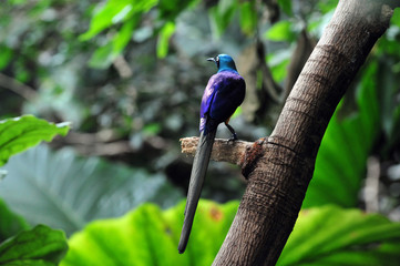 Travel Photos of New York - Manhattan