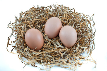 Macro shoot of brown eggs on a white background