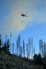 Fototapeta na wymiar Helicopter extinguish fire