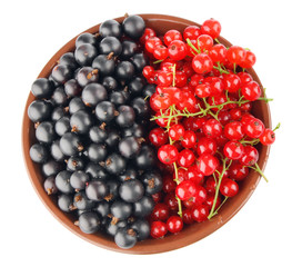 red and black currant in clay tureen