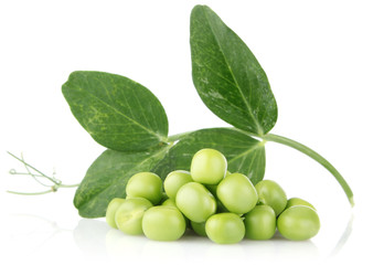 green pea with leaves
