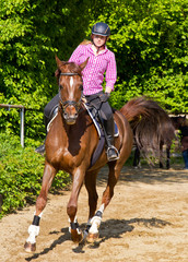 Galopp