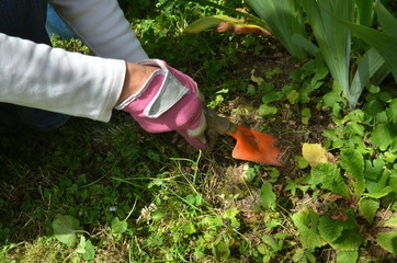 jardinage