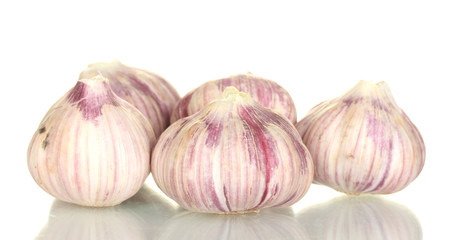 young garlic isolated on white background