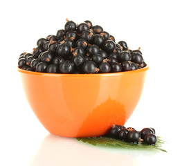 Fresh black currant in orange bowl isolated on white