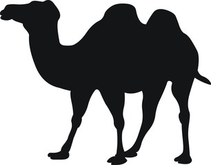 pictogramme chameau