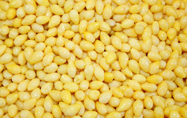 Gingko nuts (Ginkgo biloba) in Thailand