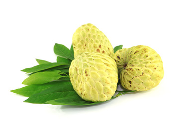 Tree Sugar Apple and leaves on white background